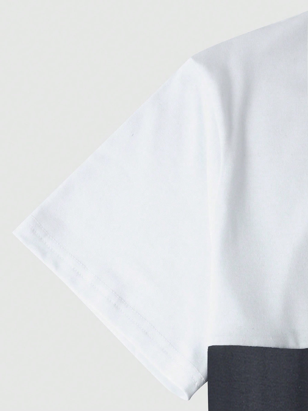 Manfinity Roughcore Men Eagle Print Colorblock Tee
